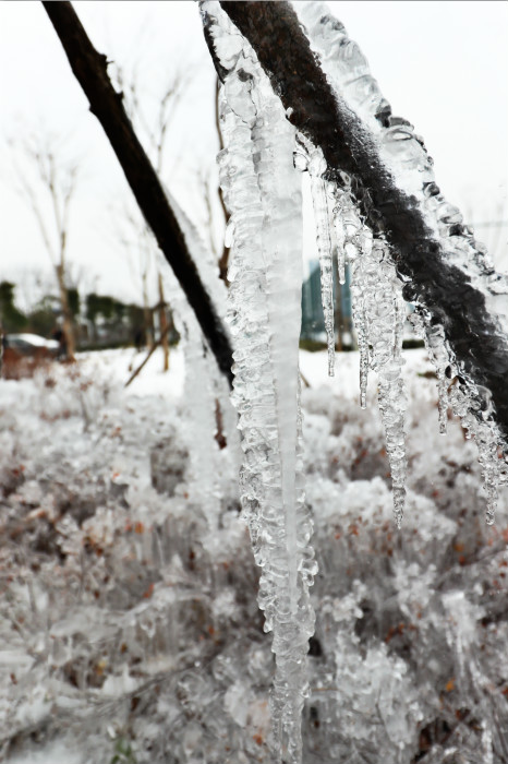一場(chǎng)雪，體育中心美得不要不要的 但最美的風(fēng)景還是他們(圖4)