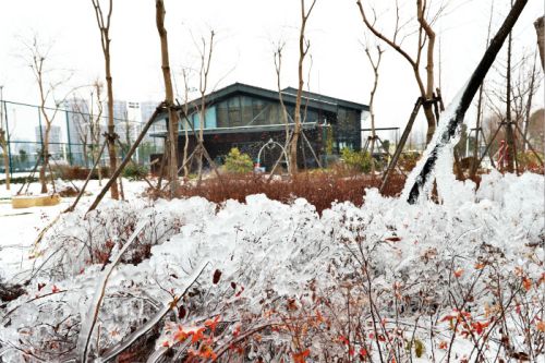 一場(chǎng)雪，體育中心美得不要不要的 但最美的風(fēng)景還是他們(圖3)