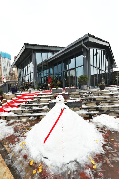 一場(chǎng)雪，體育中心美得不要不要的 但最美的風(fēng)景還是他們(圖11)